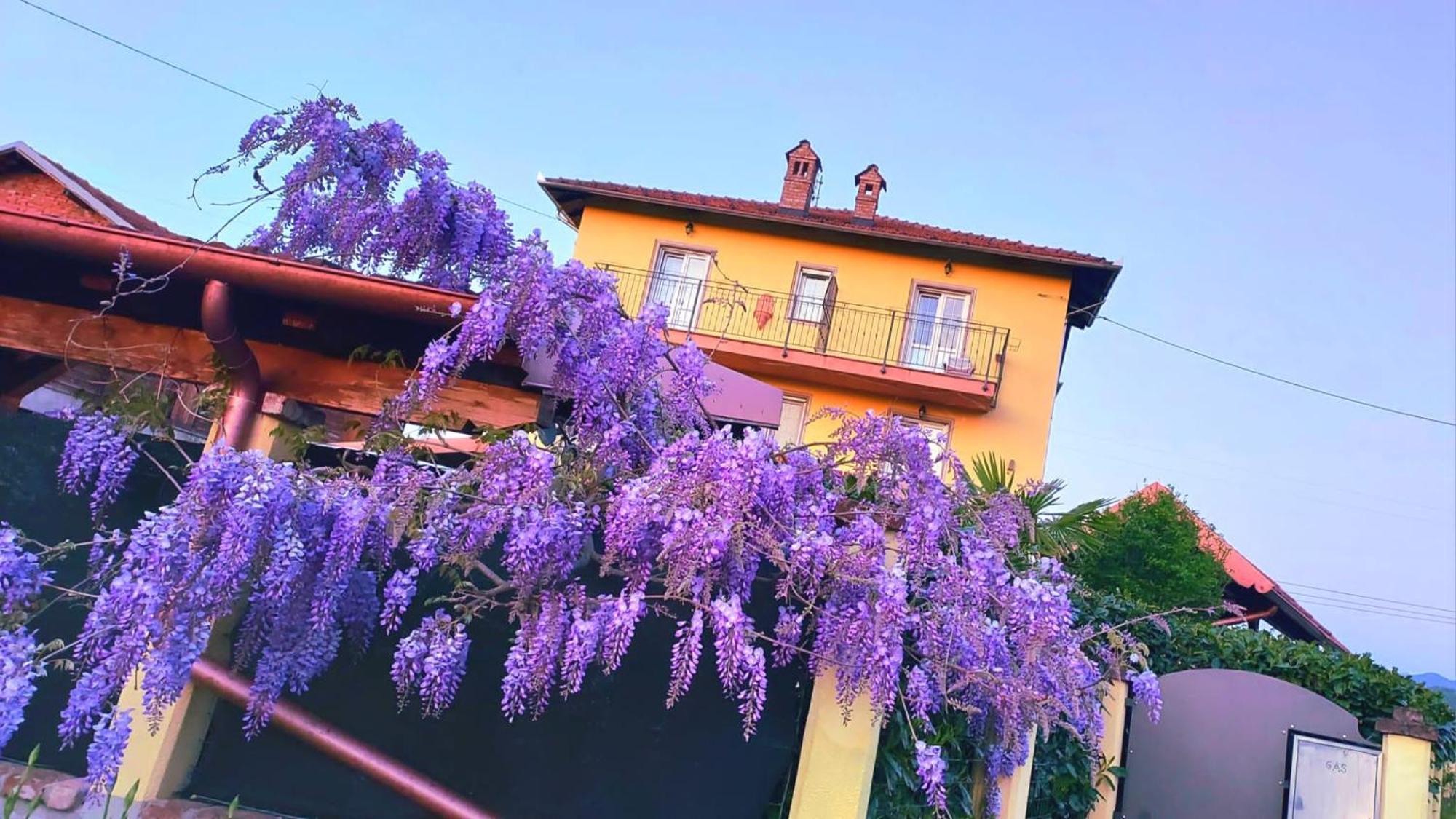 Arquata Scrivia B&B Villa S Anna Hospitality Solutions מראה חיצוני תמונה